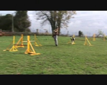 Carla & Cameron Entraînement Agility 6 Novembre 2010