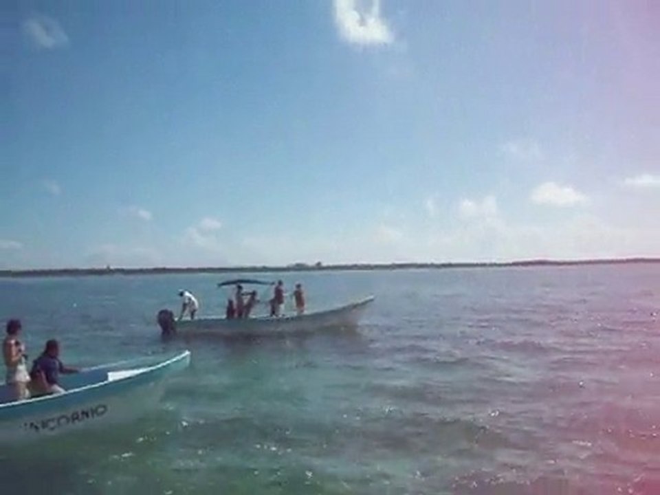 mercredi 10 novembre