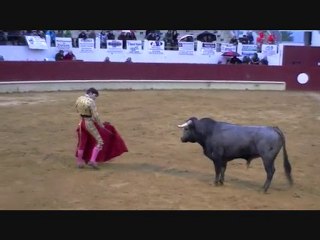 11.11.10 St Sever Taureau 4 avec Juan Viriato