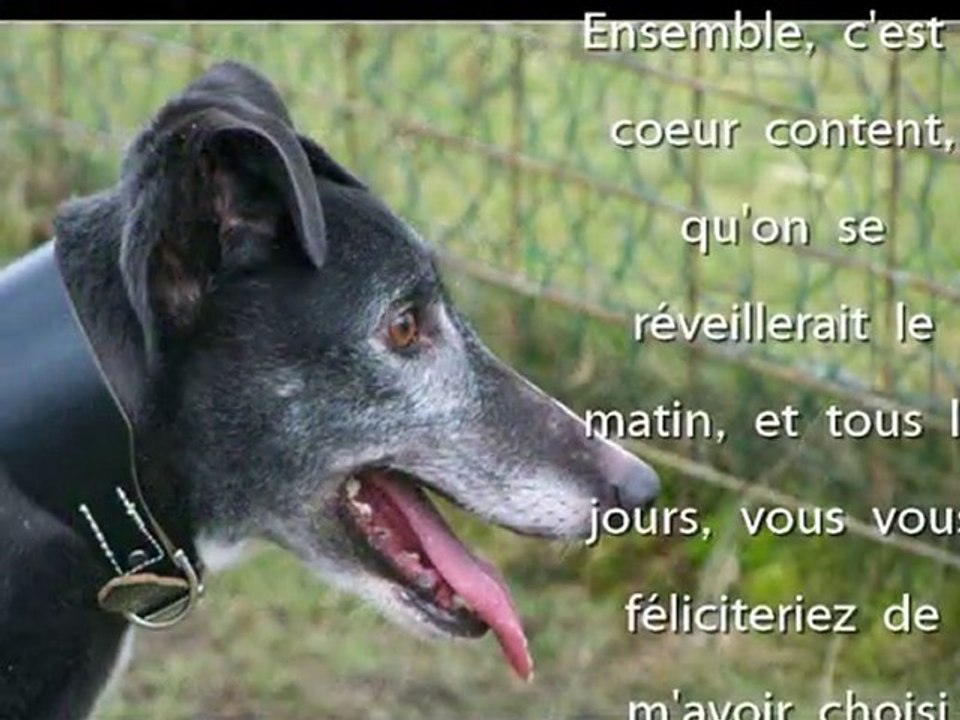 PADDY : je veux que mon tour vienne...