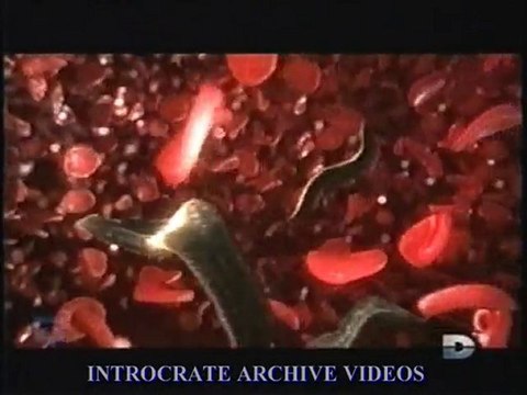 Parasites : Les Cellules Dormantes - 3 de 3