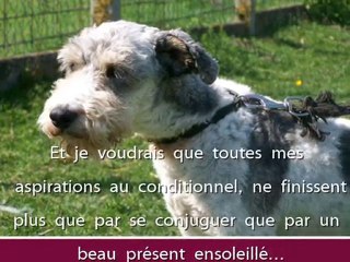 SAXO : jouons ensemble la mélodie du Bonheur