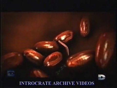 Parasites : Les Cellules Dormantes - 2 de 3