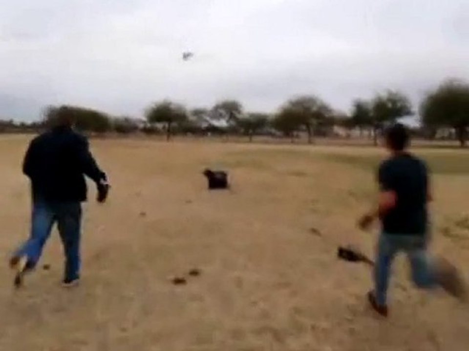 Cerf Volant