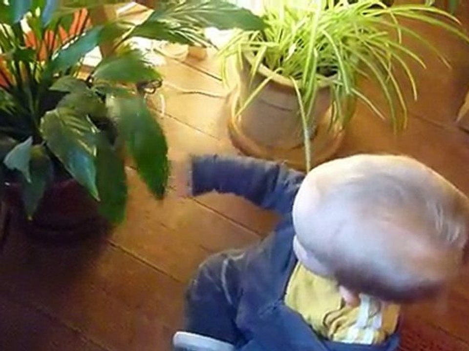13 nov 10  non les plantes