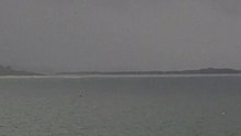 Whales Tailing far