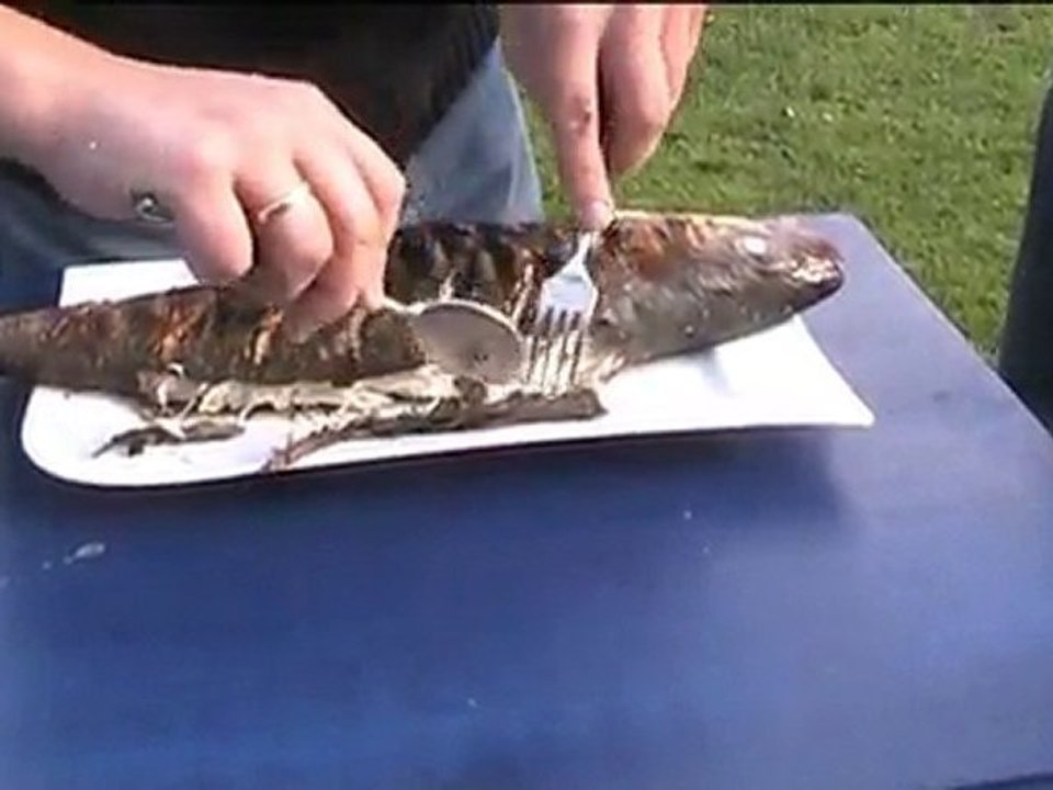 Ganzer wolfsbarsch (loup de mer) vom grill - disturbed ...