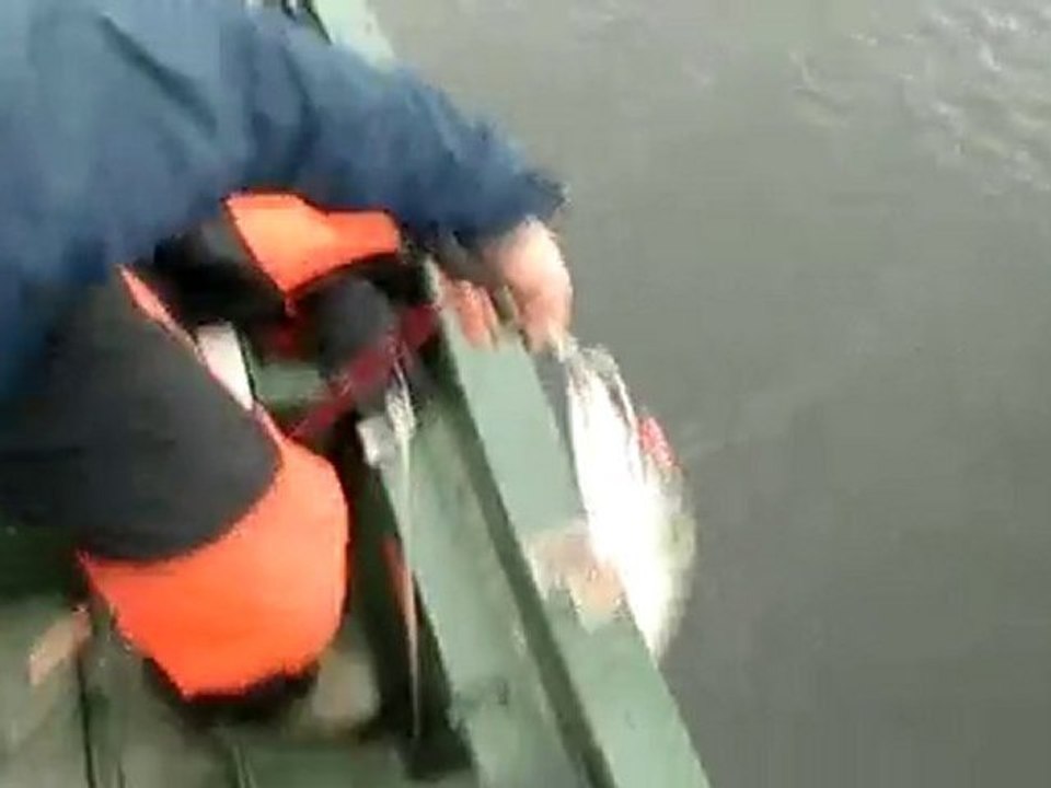 brochet de 95 en vertical