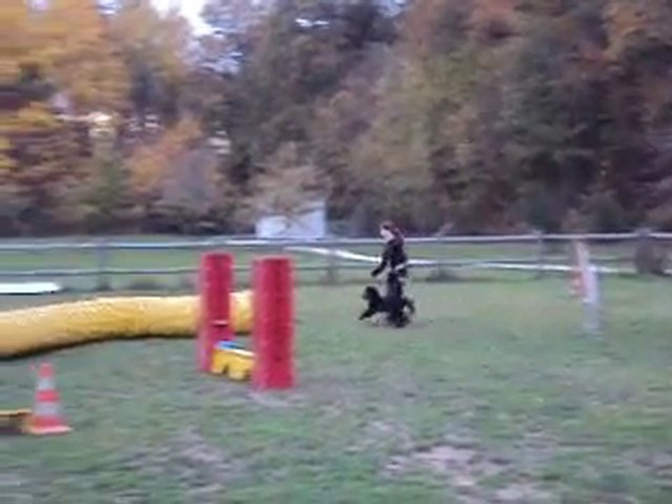 FAROUK 13-11-10