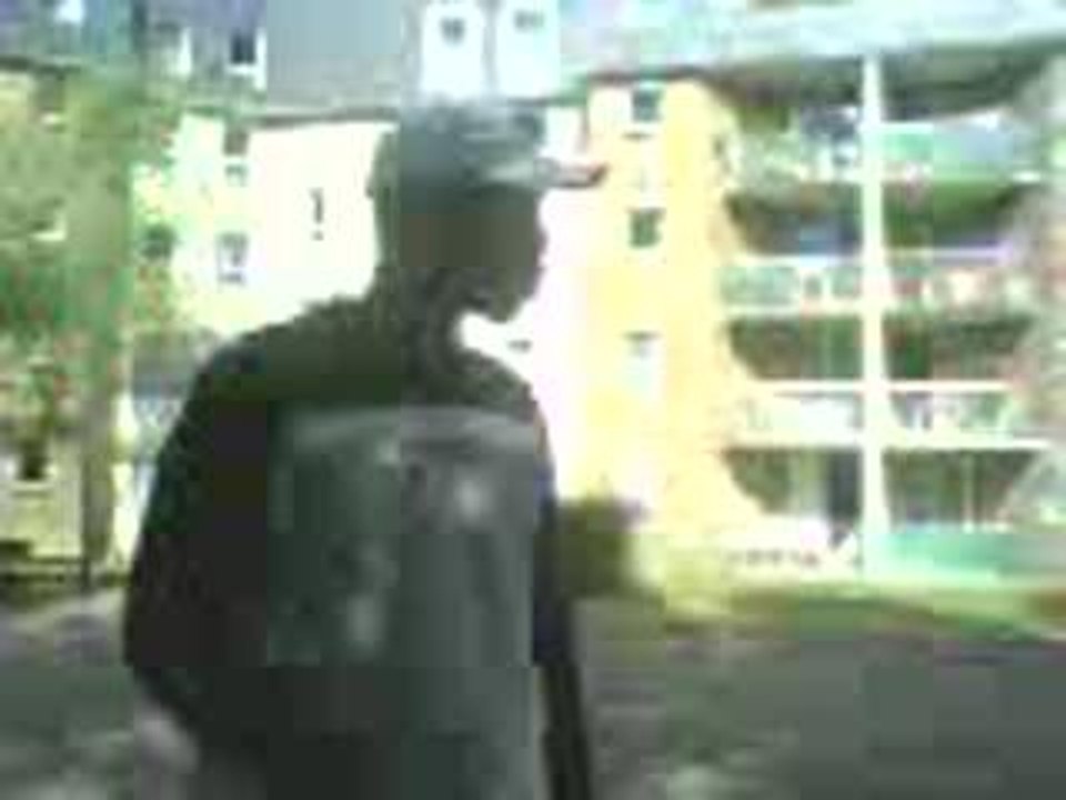 Tro spide kamikaz