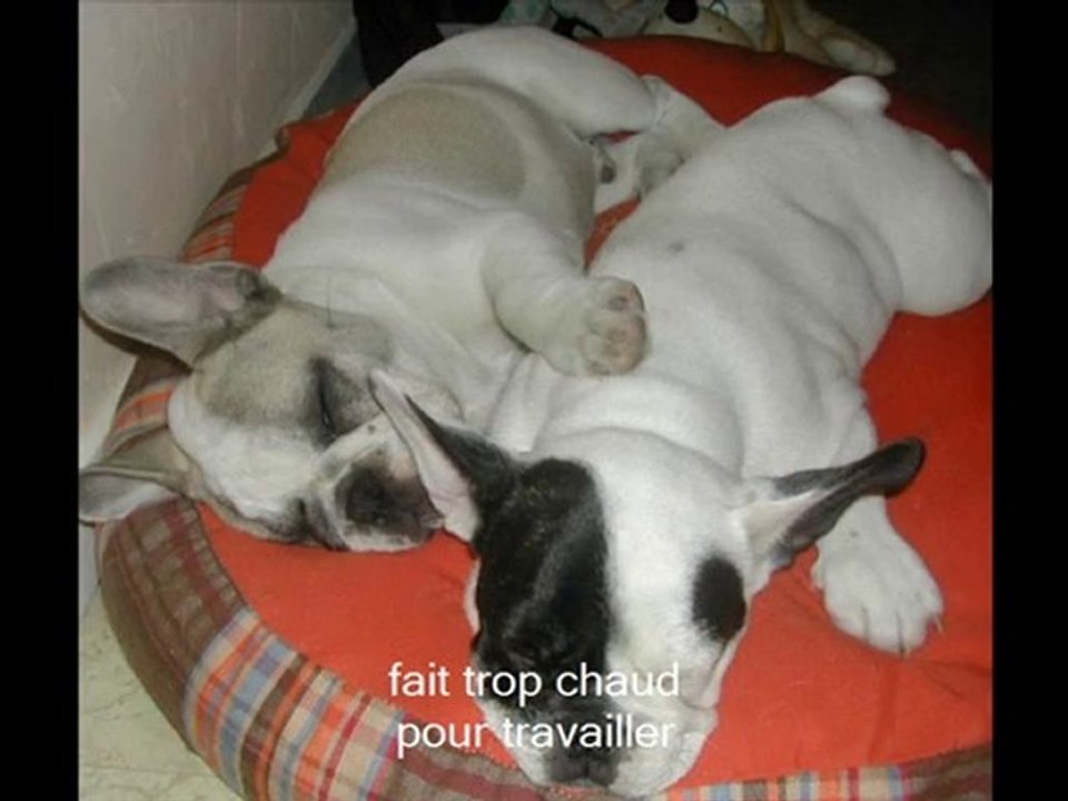 la famille de mes boulis