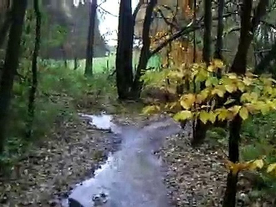 Ulys ruisseau