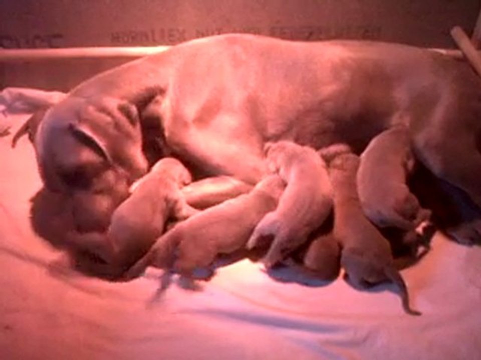 VID 00005-20101114-1049