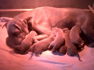 VID 00005-20101114-1049