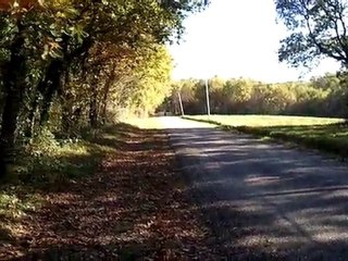 TZR TOP GREEN RUN VIDEO 3
