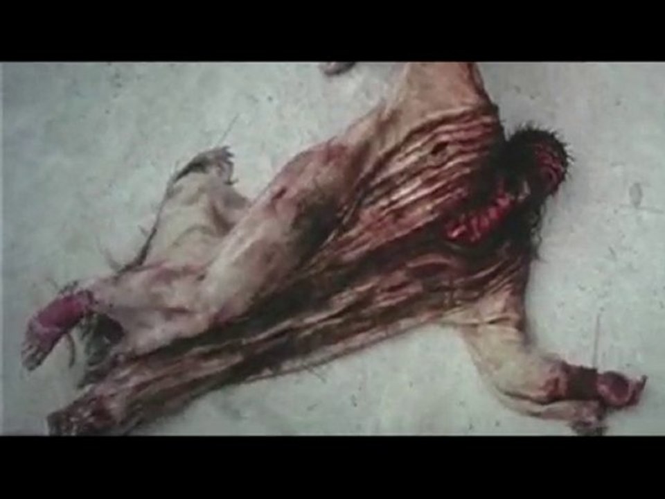 "Журавли"СУПЕР ХИТ!! ШАНСОН ГОДА!!! Марсель Давлетов