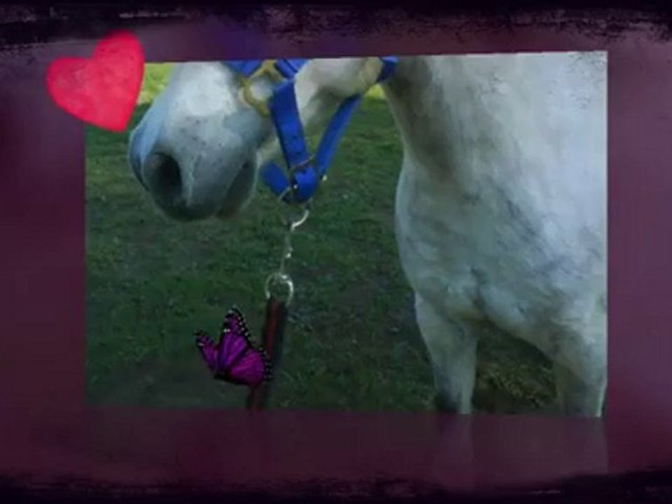 ♥ mon p'tit poney chéry♥