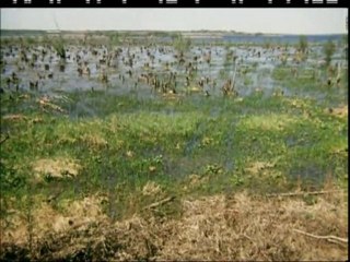 "МАМА"СУПЕР ХИТ!! ШАНСОН ГОДА!! Марсель Давлетов