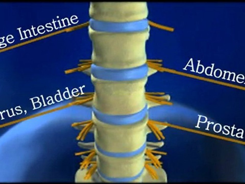 What Your Doctor Never Told You, by Dr. Jerry Zelm