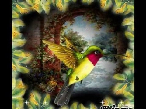 david guetta creer par malikangi