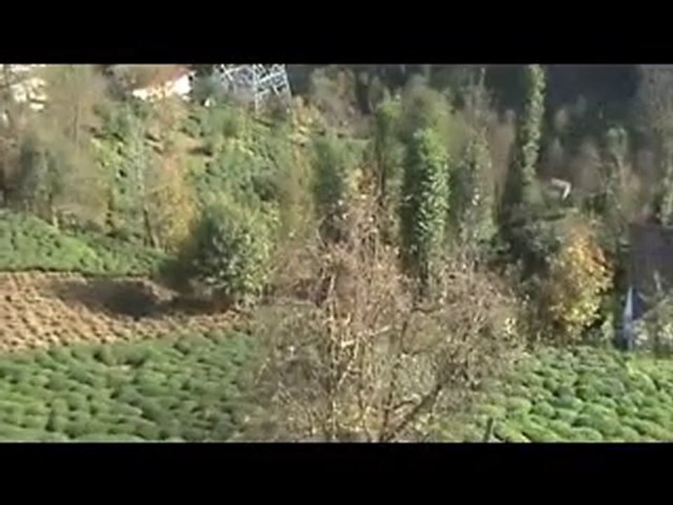 pazarköy_14_11_2010