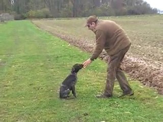 Apprentissage de l'ordre "Assis".