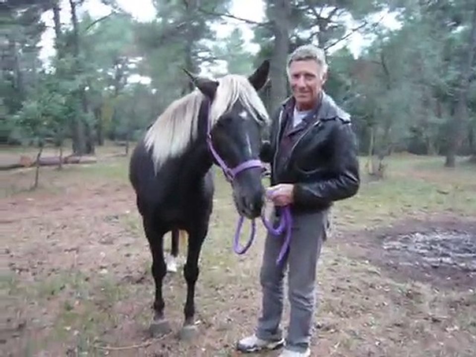 en balade avec Silver Sam