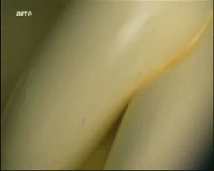 matière grasses et acide gras