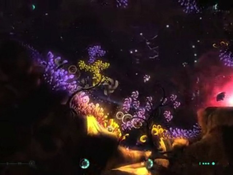 THE UNDERGARDEN