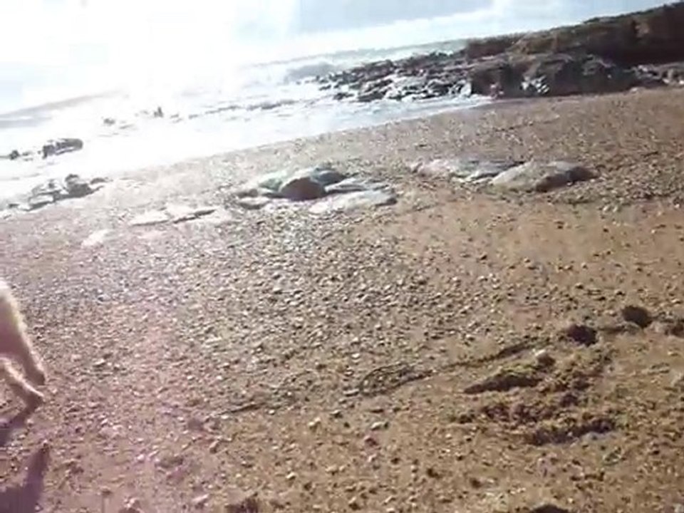 Dingle à la mer après la tempête (2)