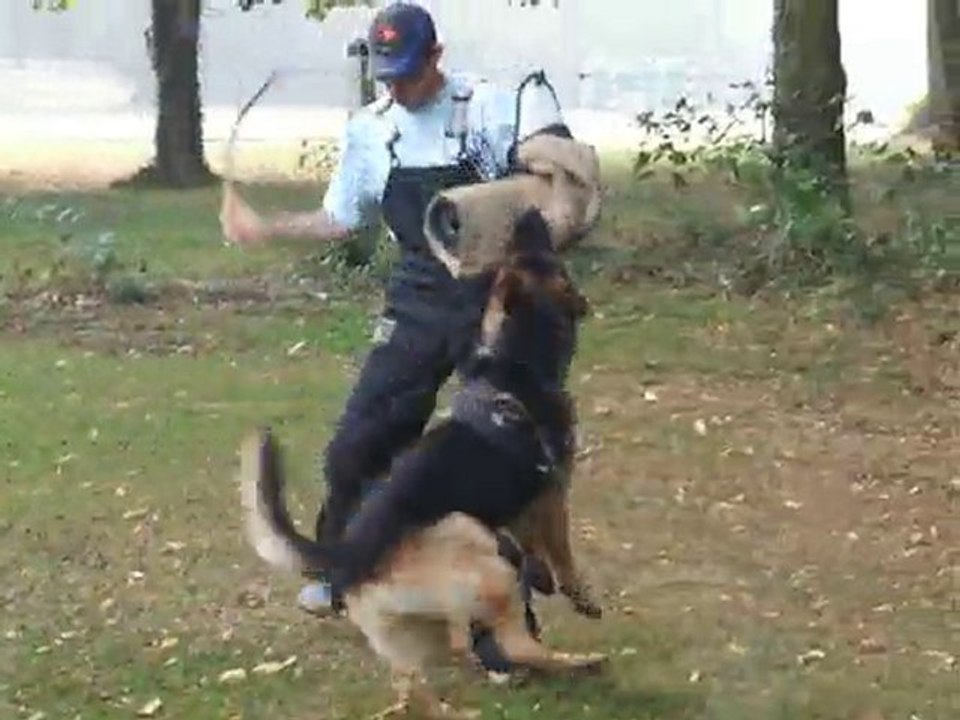 CADOR des Perles de l'Etang