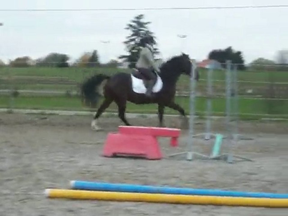 Féfé et le grand cheval au galop :)