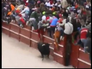 Ciudad Rodrigo 2010, Carnaval del Toro