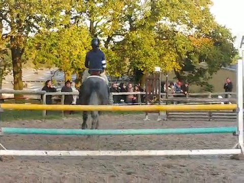 Rainbow du Preuil - Louise Hemery, Pont l'abbé Novembre 2010