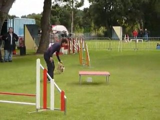 Alf - GPF Fos