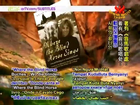 Animal Guardians, Project Jonah & Catskill Animal Sanctuary