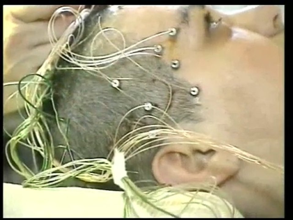 Les miracles du Coran: L'importance du mouvement au cours du