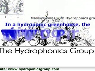 Hydroponic Nutrients