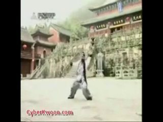 kun fu et ninjutsu_xvid