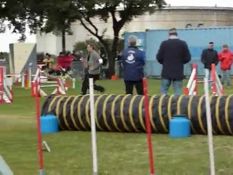 Brownie - Jumping Fos