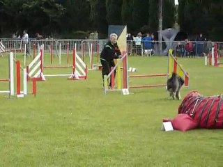 Defi - Jumping Fos
