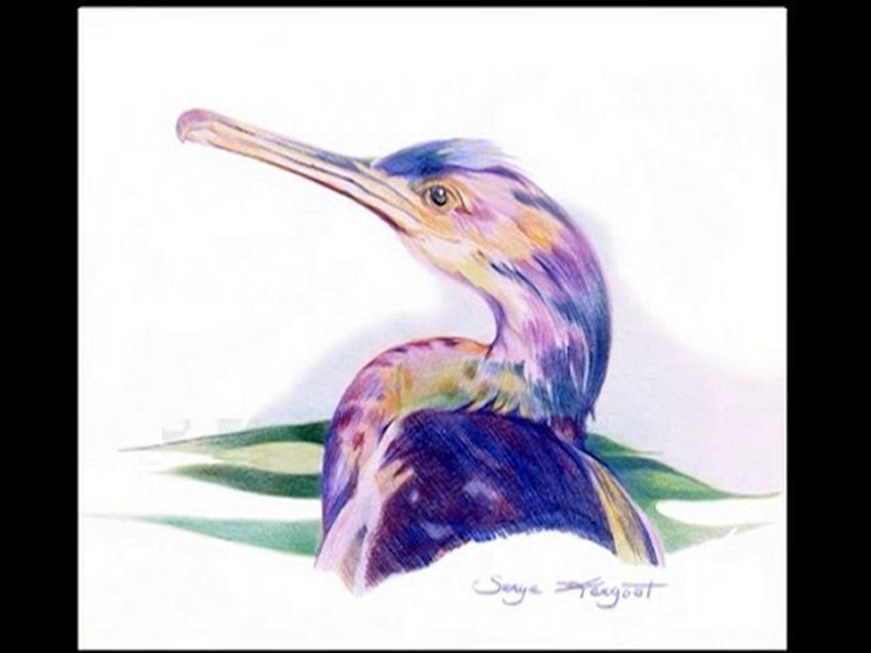 Technique du Crayon de Couleur