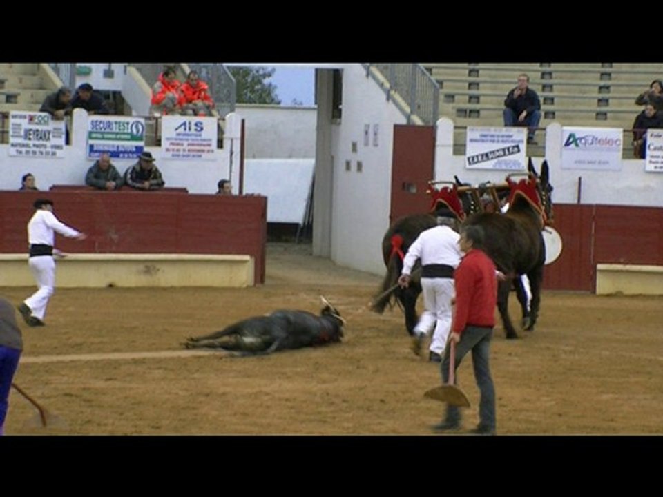 11.11.10 St Sever Les Photos de la Novillada