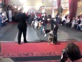 French Team Ducth Trophy 2010