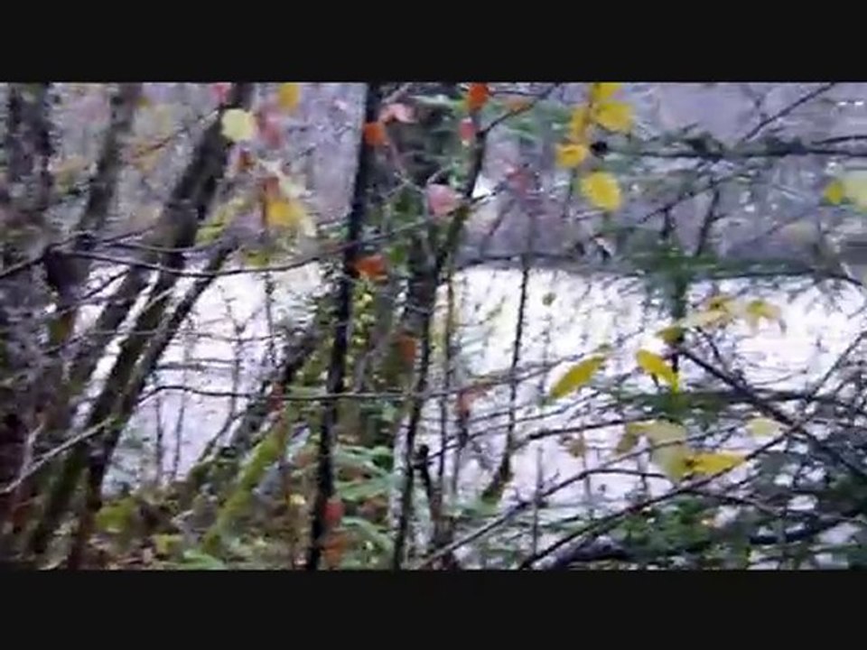 Crue de Novembre sur le Chéran(74)