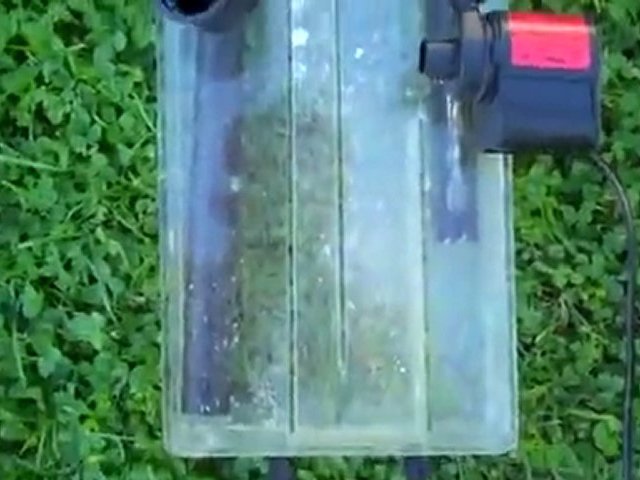 Skimmer turned Refugium? Hang on Refugium...