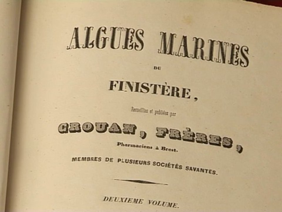 L'Alguier des Frères Crouan