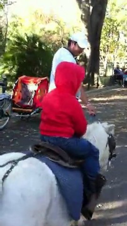 jean ki fai du poney