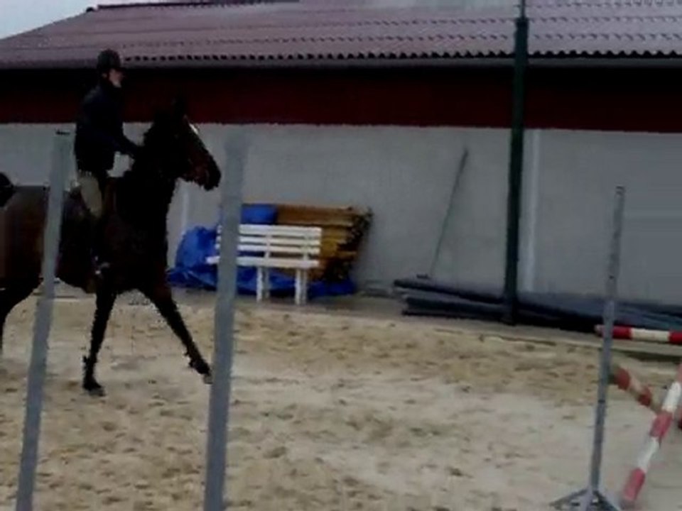 simbad des torfeux nov 2010 croix