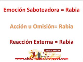 El Proceso de Creacion. Secreto de Atracción